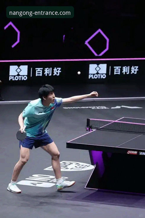 WTT重庆赛“青春风暴”深度解析：从温瑞博的突破看国乒梯队建设的挑战与机遇